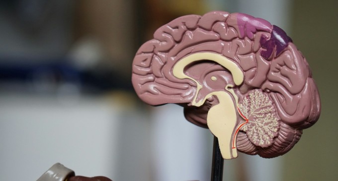 Minte limpede zi de zi: cum ai grijă de sănătatea cognitivă fără promisiuni false