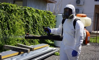 Dezinsecție plosnite Craiova și Târgu Jiu: ghidul Olteniei pentru nopți fără mușcături