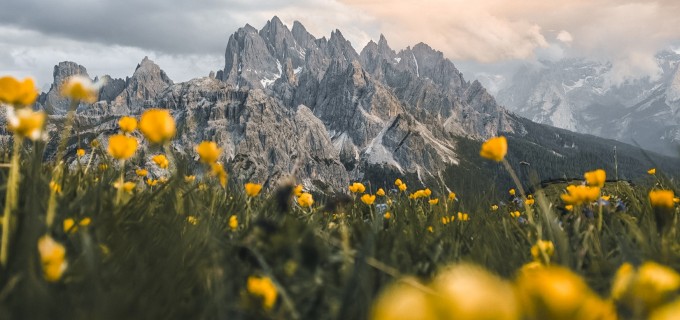 5,3 miliarde de imagini în fiecare zi, la nivel global: seria HONOR 600 simplifică editarea foto cu ajutorul AI