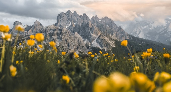 5,3 miliarde de imagini în fiecare zi, la nivel global: seria HONOR 600 simplifică editarea foto cu ajutorul AI
