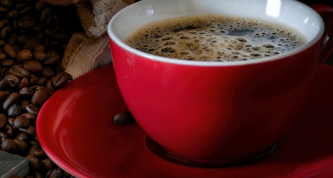 KAFUNE Arabica și KAFUNE Intenso: două profiluri de cafea, două experiențe
