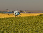 Unde nu a răsărit rapița? AEROCROP identifică zonele afectate cu ajutorul dronei