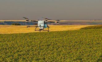 Unde nu a răsărit rapița? AEROCROP identifică zonele afectate cu ajutorul dronei