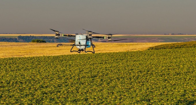 Unde nu a răsărit rapița? AEROCROP identifică zonele afectate cu ajutorul dronei