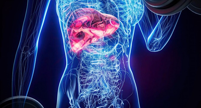 Wegovy® a redus grăsimea din ficat la valori normale la aproape 9 din 10 participanți cu obezitate și steatoză, într-o analiză prezentată la EASD 2026