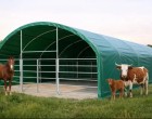 3 caracteristici tehnice la care să acorzi atenție la cortul pentru animale