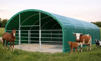 3 caracteristici tehnice la care să acorzi atenție la cortul pentru animale