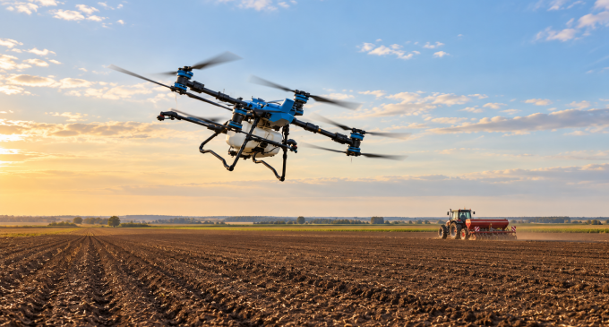 După o toamnă secetoasă, grâul a răsărit neuniform. Specialiștii AEROCROP explică ce trebuie verificat înainte de iarnă