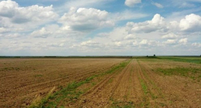 Ce zici de asta, nea Mărine?