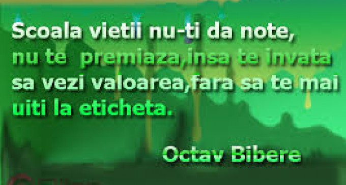 Școala vieții…Partea a Doua