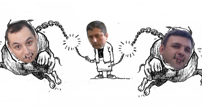 Curajosul Făgădău eliberează pitbulii cu zgardă wi-fi din ogradă – începe actiunea: aruncăm cu lături parfumate