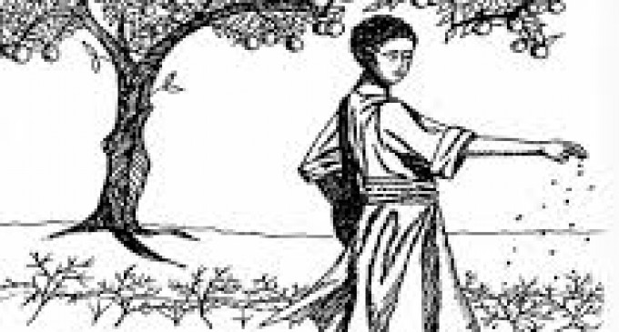 Viața comunității-Timpul „Semănatului „- Partea a Treisprezecea