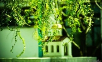 Praznicul Intrării Domnului în Ierusalim!