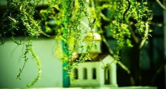 Praznicul Intrării Domnului în Ierusalim!