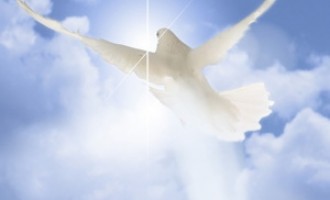 Viața comunității – „ Speranţa  şi  Interesul ”- Partea a Treizeci și Noua