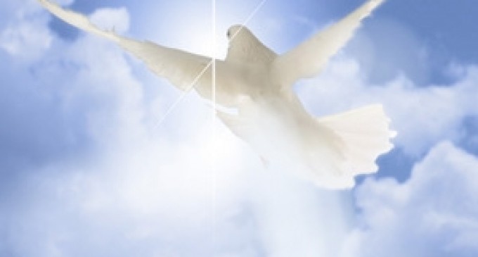 Viața comunității – „ Speranţa  şi  Interesul ”- Partea a Treizeci și Noua