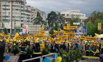 Polemici și controverse ale doamnei Firea ivite cu ocazia interzicerii organizării unui miting de susținere a premierului Dacian Cioloș