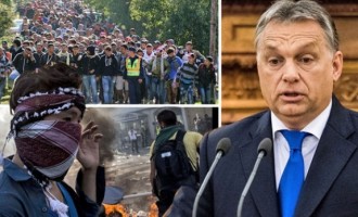 Referendumul din Ungaria privind imigranţii ar putea să nu fie validat !