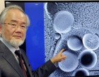 Yoshinori Ohsumi este câştigătorul Premiului Nobel pe Medicină în acest an!