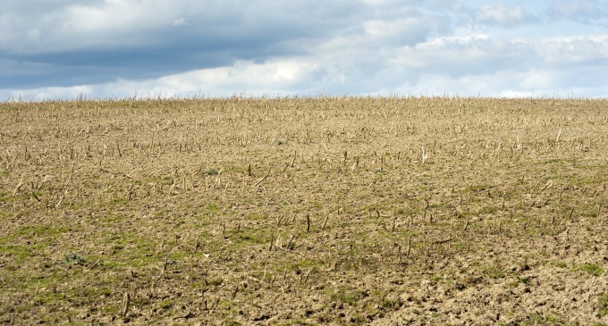 Aberațiile unui candidat