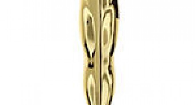 S-a decis cine va fi prezentatorul galei premiilor Oscar 2017