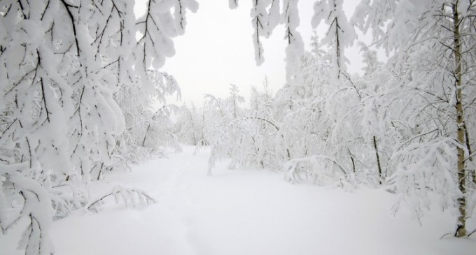 Ninge Doamne-n noi, fiindcă suntem… goi!