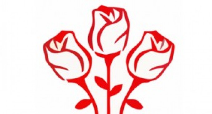 Viziunea cetățeanului …contributor la bugetul de stat