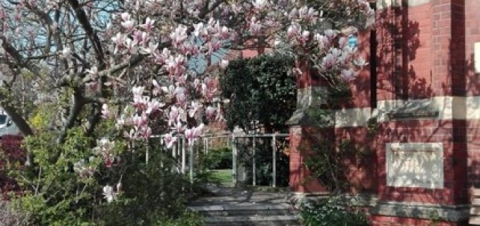 Prânzul cu magnolii