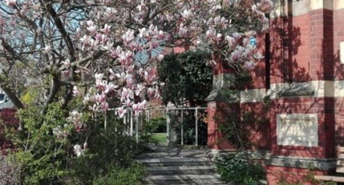 Prânzul cu magnolii