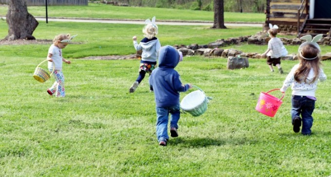 CONCURS: Caută ouăle în iarbă! Indiciu: găseşte mai întâi iarba!