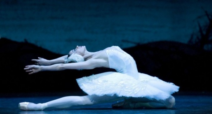 Trăiri intense la Operă