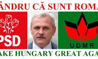 PSD s-a înscris în UDMR