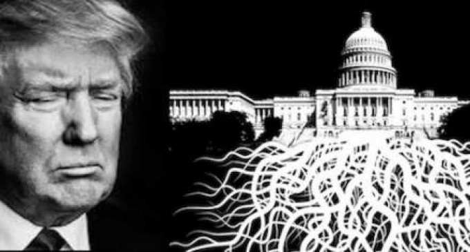 Va ieși la iveală adevărul despre asasinarea lui JFK? 