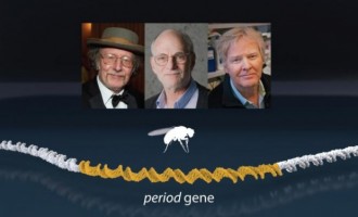 IMPRESIONANT!Trei savanţi americani au câștigat Premiul Nobel pentru Medicină cu o descoperire extraordinară