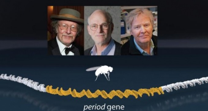 IMPRESIONANT!Trei savanţi americani au câștigat Premiul Nobel pentru Medicină cu o descoperire extraordinară