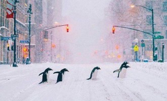 Atenție la ceea ce resimțim