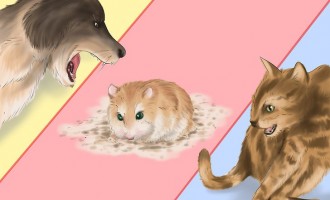 Hamsterul, înghesuit, îmi pare azi cam… slăbit!