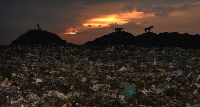 Astăzi noi vă numim ”gunoaie”, căci ați făcut-o rău de oaie…