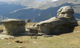 Sfat prețios, române!