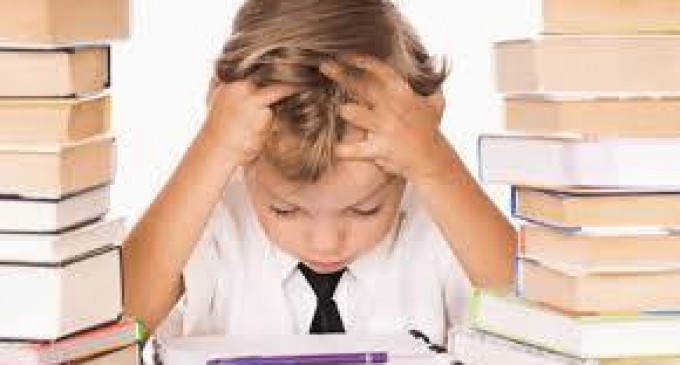 Limba ( putina decenta)