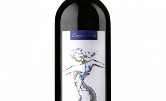 Crama Girboiu iti asigura cel mai bun vin in aceasta toamna!